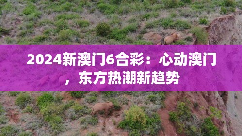 2024新澳门6合彩:心动澳门,东方热潮新趋势