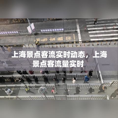 上海景点客流实时动态,上海景点客流量实时