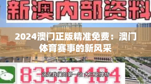 2024澳门正版精准免费:澳门体育赛事的新风采