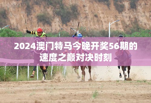 2024澳门特马今晚开奖56期的速度之巅对决时刻