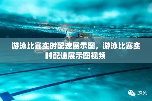 游泳比赛实时配速展示图,游泳比赛实时配速展示图视频