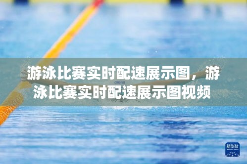 游泳比赛实时配速展示图,游泳比赛实时配速展示图视频
