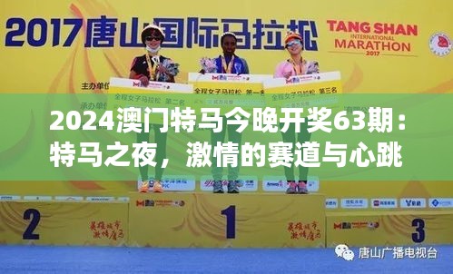 2024澳门特马今晚开奖63期:特马之夜,激情的赛道与心跳同频