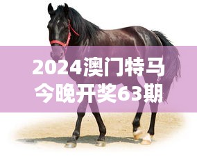 2024澳门特马今晚开奖63期:马匹竞速,特马63期的速度与热情