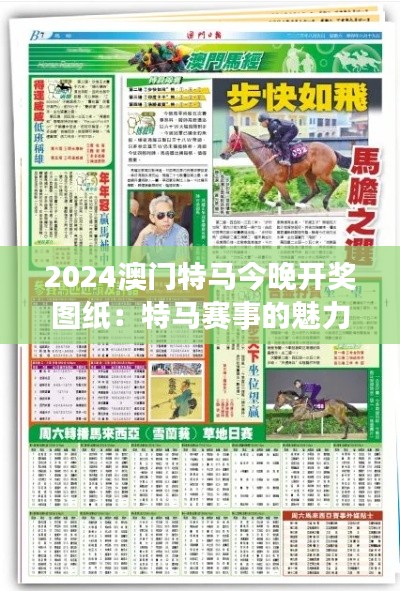 2024澳门特马今晚开奖图纸:特马赛事的魅力风采
