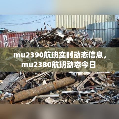 mu2390航班实时动态信息,mu2380航班动态今日