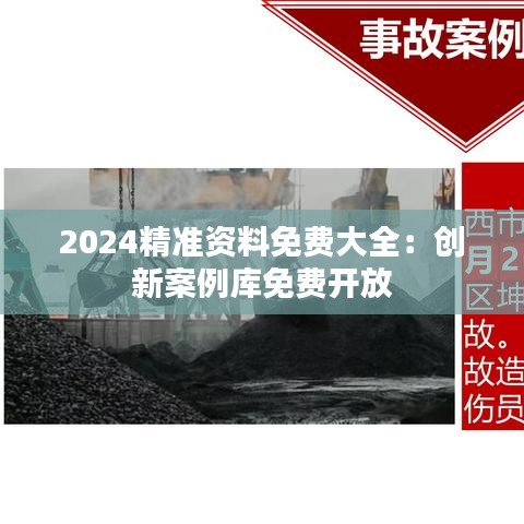 2024精准资料免费大全:创新案例库免费开放
