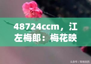 48724ccm,江左梅郎:梅花映雪的古典美学