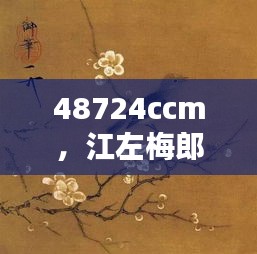 48724ccm,江左梅郎:梅花映雪的古典美学