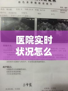 医院实时状况怎么看报告,如何查看医院报告单