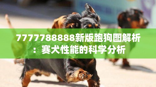 7777788888新版跑狗图解析:赛犬性能的科学分析