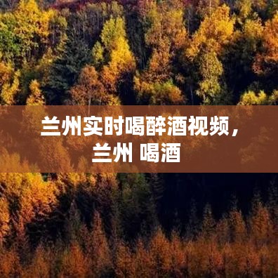 兰州实时喝醉酒视频,兰州 喝酒