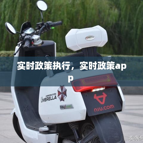 实时政策执行,实时政策app