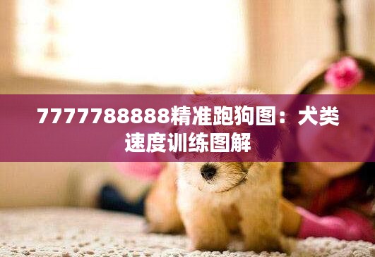 7777788888精准跑狗图:犬类速度训练图解