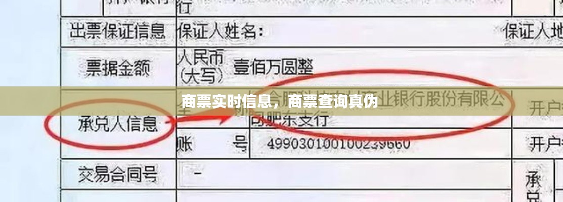 商票实时信息,商票查询真伪
