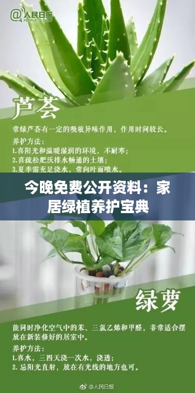 今晚免费公开资料:家居绿植养护宝典