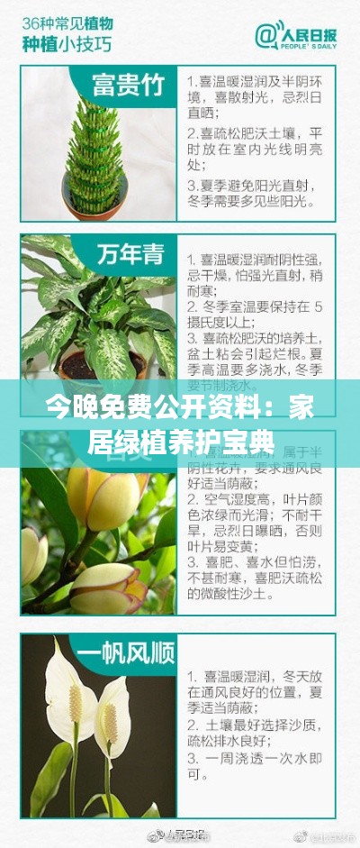 今晚免费公开资料:家居绿植养护宝典