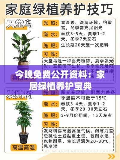 今晚免费公开资料:家居绿植养护宝典