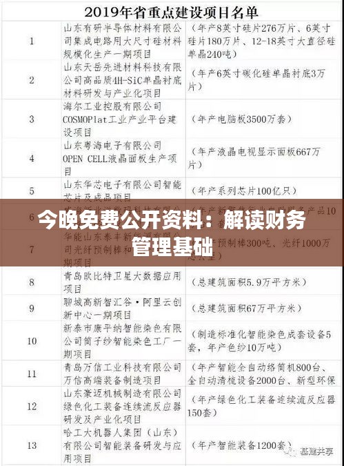 今晚免费公开资料:解读财务管理基础