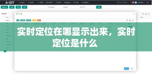 实时定位在哪显示出来,实时定位是什么