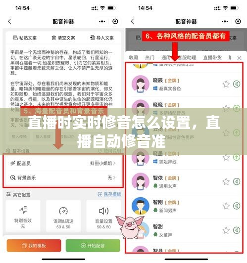 直播时实时修音怎么设置,直播自动修音准