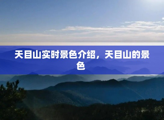 天目山实时景色介绍,天目山的景色
