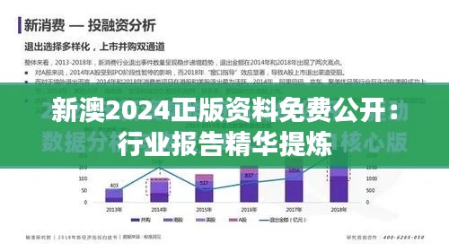 新澳2024正版资料免费公开:行业报告精华提炼