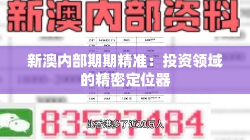 新澳内部期期精准:投资领域的精密定位器