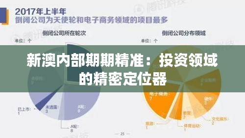新澳内部期期精准:投资领域的精密定位器