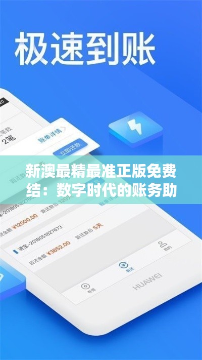 新澳最精最准正版免费结:数字时代的账务助手