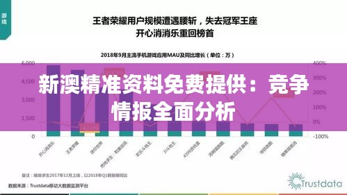 新澳精准资料免费提供:竞争情报全面分析
