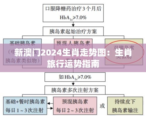 新澳门2024生肖走势图:生肖旅行运势指南