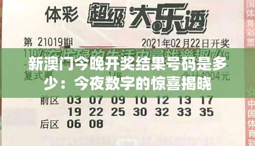 新澳门今晚开奖结果号码是多少:今夜数字的惊喜揭晓
