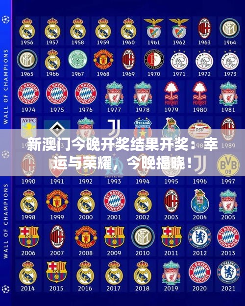 新澳门今晚开奖结果开奖:幸运与荣耀,今晚揭晓!