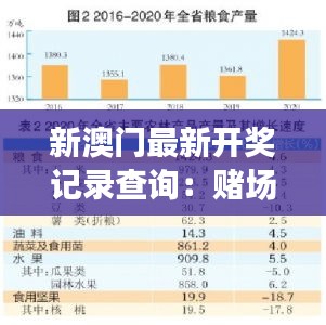 新澳门最新开奖记录查询:赌场数字的统计学入门
