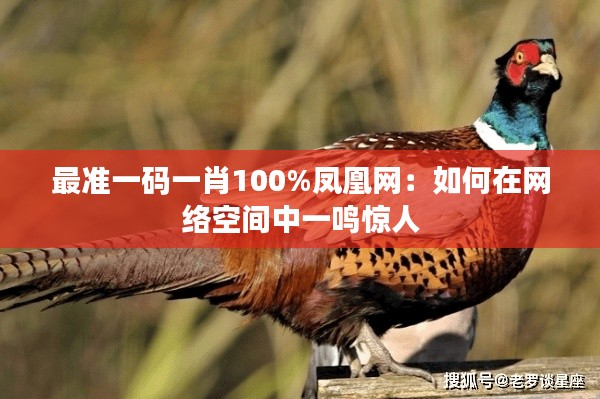 最准一码一肖100%凤凰网:如何在网络空间中一鸣惊人