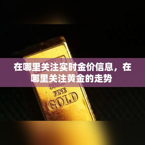 草间求活 第5页