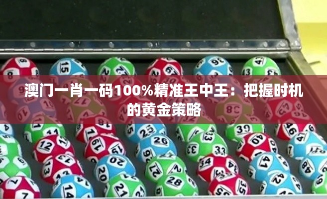 澳门一肖一码100%精准王中王:把握时机的黄金策略