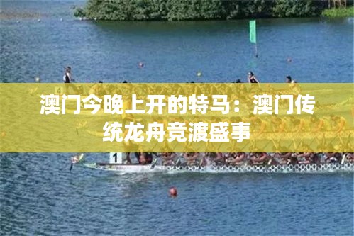 澳门今晚上开的特马:澳门传统龙舟竞渡盛事