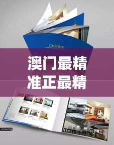 澳门最精准正最精准龙门图库,探索澳门的历史风情画册