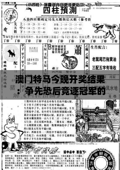 澳门特马今晚开奖结果:争先恐后竞逐冠军的夜晚