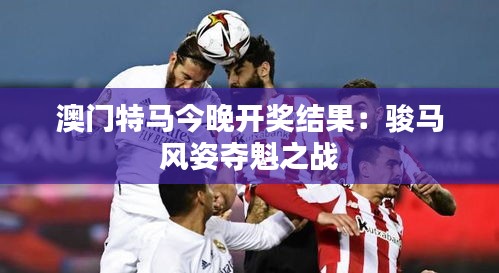 澳门特马今晚开奖结果:骏马风姿夺魁之战