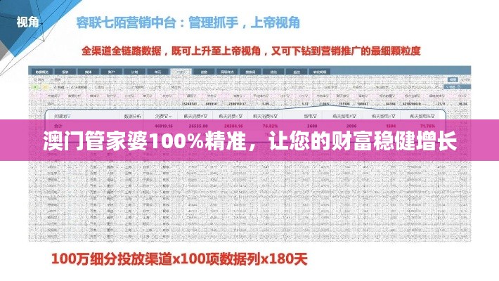 澳门管家婆100%精准,让您的财富稳健增长