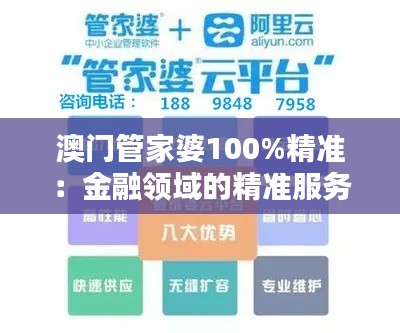 澳门管家婆100%精准:金融领域的精准服务