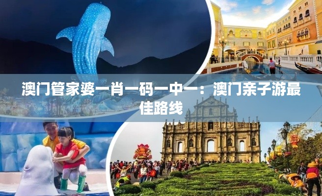 澳门管家婆一肖一码一中一:澳门亲子游最佳路线