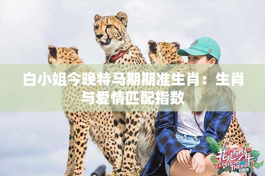 白小姐今晚特马期期准生肖:生肖与爱情匹配指数