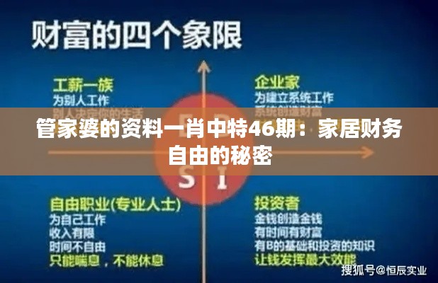 管家婆的资料一肖中特46期:家居财务自由的秘密
