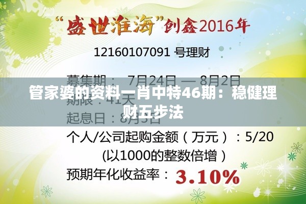 管家婆的资料一肖中特46期:稳健理财五步法