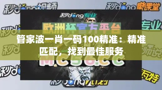 管家波一肖一码100精准:精准匹配,找到最佳服务