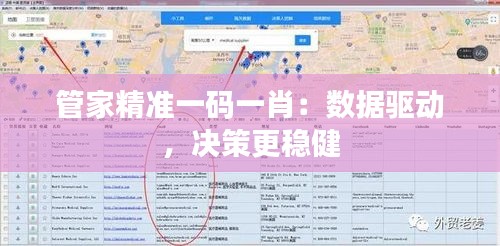 管家精准一码一肖:数据驱动,决策更稳健